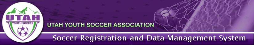 2014 Spring Challenger League banner